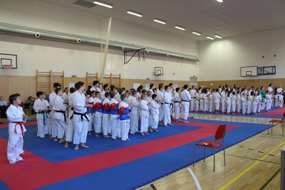 Pohár brněnského draka