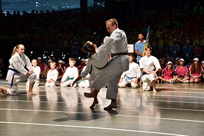 Olympiáda dětí a mládeže